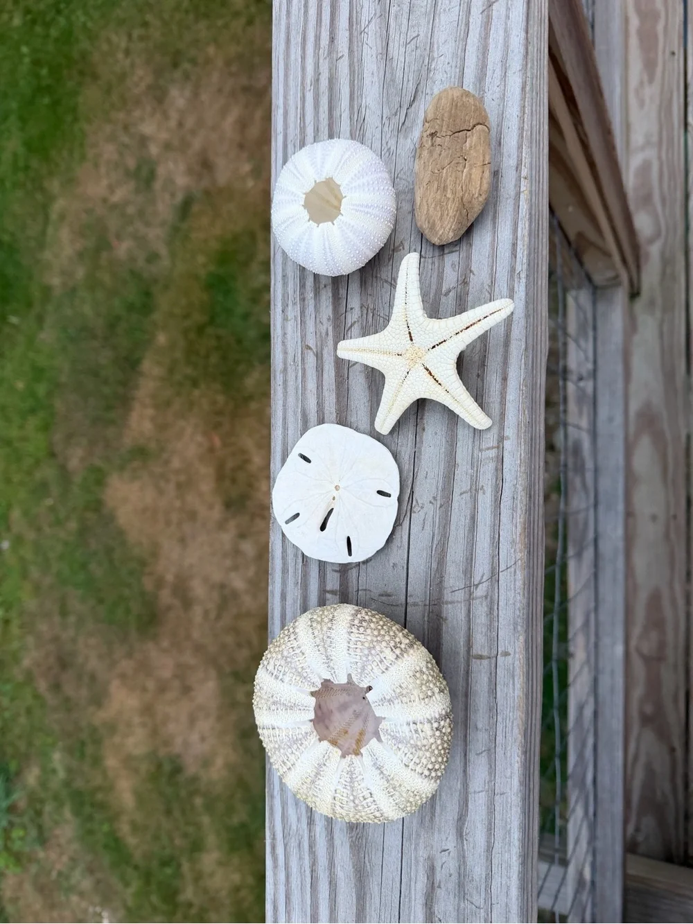 Coastal Decor add your